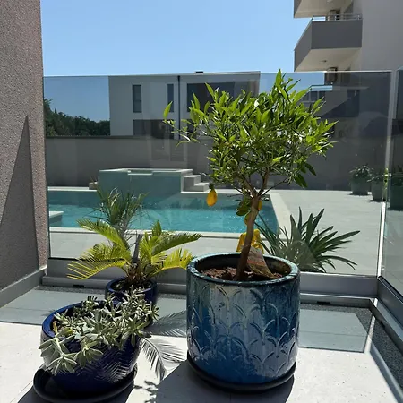 Vida, - Bazen I Jacuzzi *