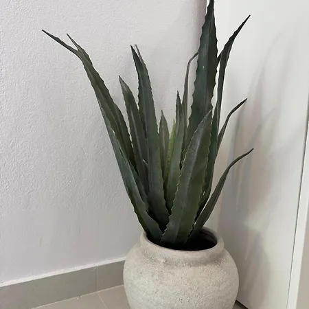 Vida, - Bazen I Jacuzzi Villa *