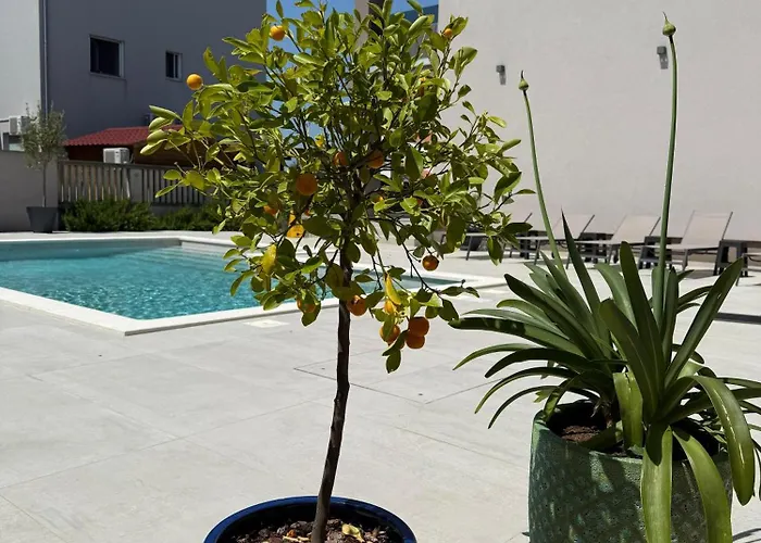 Vida, - Bazen I Jacuzzi Villa