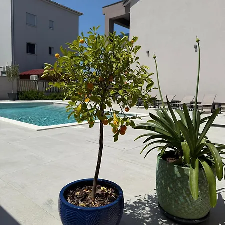 Vida, - Bazen I Jacuzzi Villa